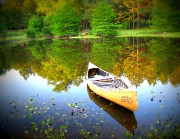 Gdzie najlepiej na spływ kajakowy? Trzy wyjątkowe rzeki w Polsce